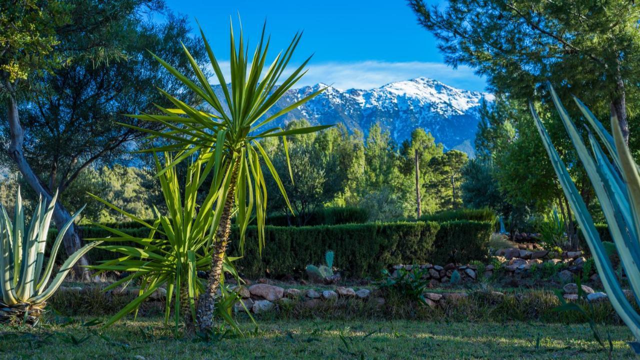 La Bergerie Auberge & Restaurant Ouirgane Buitenkant foto